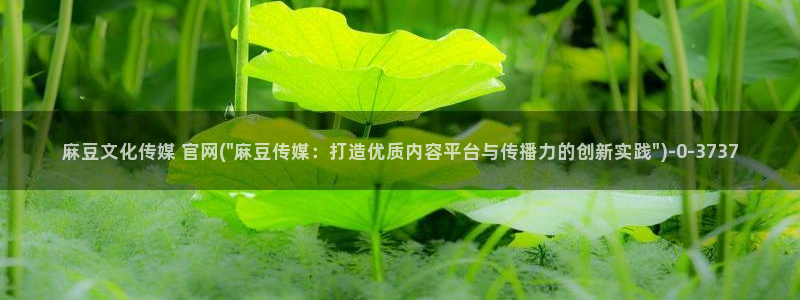 麻豆视频 推荐：麻豆文化传媒 官网(\