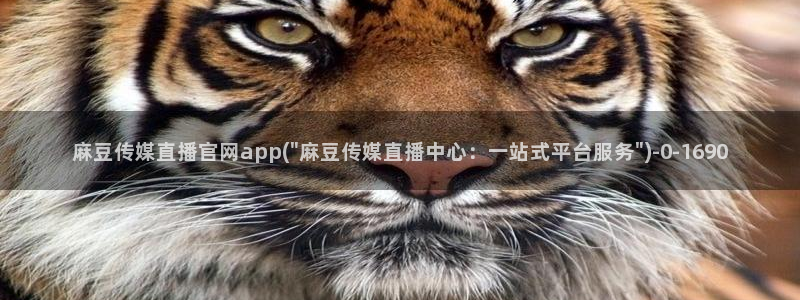 麻豆视频 在线看入口：麻豆传媒直播官网app(\