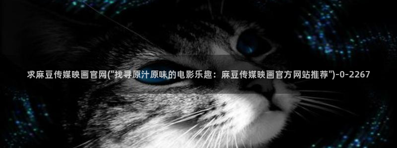 麻豆高清资源：求麻豆传媒映画官网(\