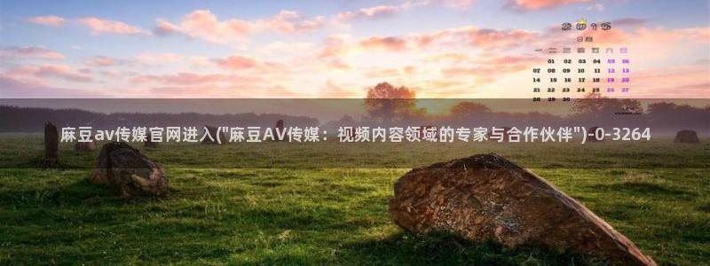 麻豆入口下载：麻豆av传媒官网进入(\