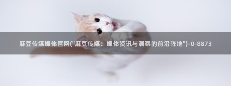 麻豆视频 合集最新：麻豆传媒媒体官网(\