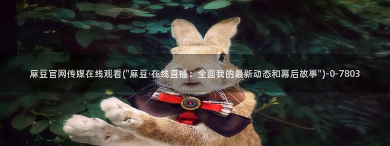 麻豆视频更新合集：麻豆官网传媒在线观看(\
