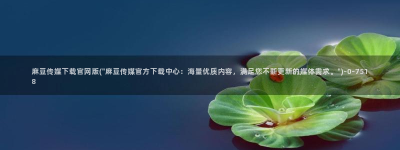 麻豆视频 系列视频：麻豆传媒下载官网版(\