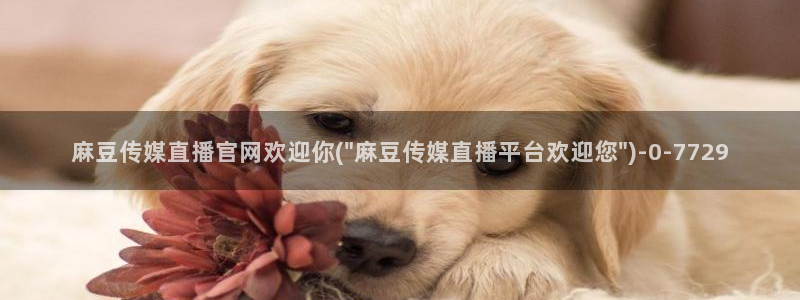 麻豆完整版下载：麻豆传媒直播官网欢迎你(\