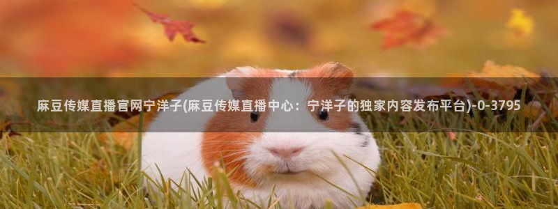 麻豆视频热门入口：麻豆传媒直播官网宁洋子(麻豆传媒直播中心：宁洋子的独家内容发布平台)