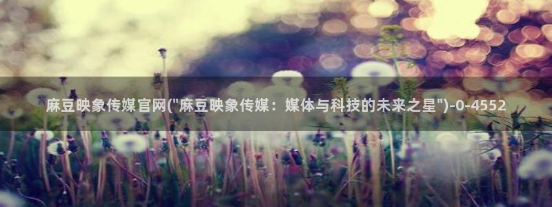 麻豆高清完整版：麻豆映象传媒官网(\