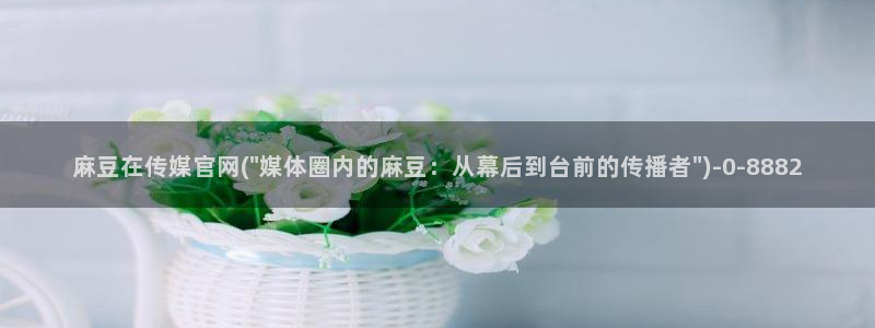 麻豆视频下载在线看：麻豆在传媒官网(\