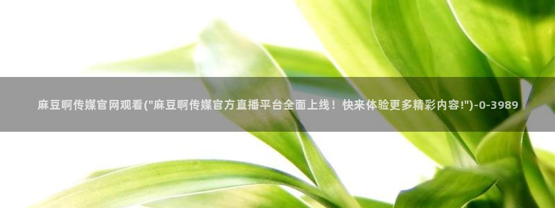 麻豆视频系列推荐：麻豆啊传媒官网观看(\