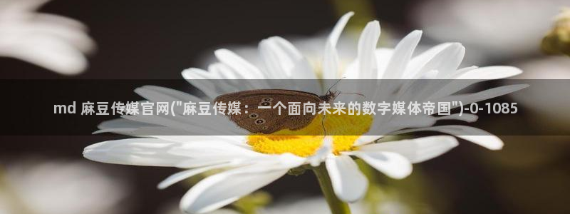 麻豆视频完整版高清：md 麻豆传媒官网(\
