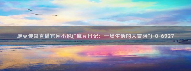 麻豆视频精选合集：麻豆传媒直播官网小说(\