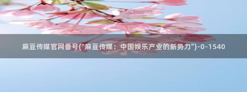 麻豆视频专区：麻豆传媒官网番号(\