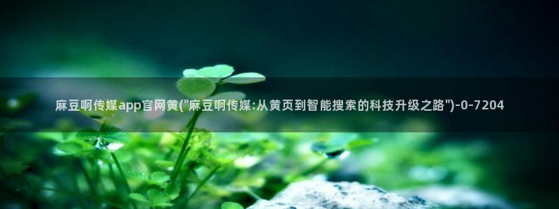 麻豆视频 系列专区