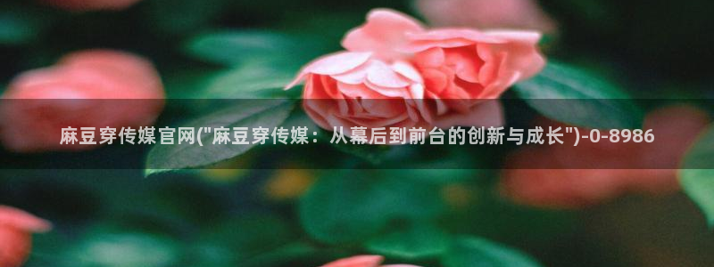 麻豆视频内容最新