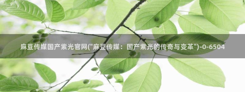 麻豆视频热门合集